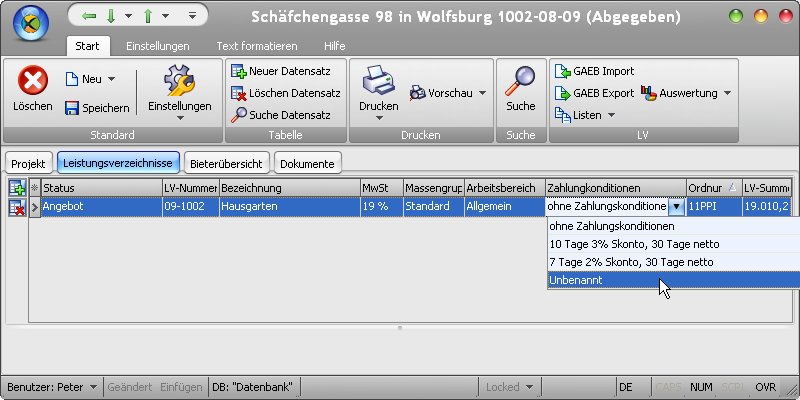 Optionen_zahlungskonditionen3